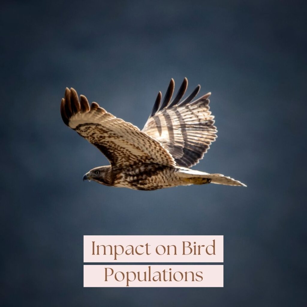 impact on bird populations
